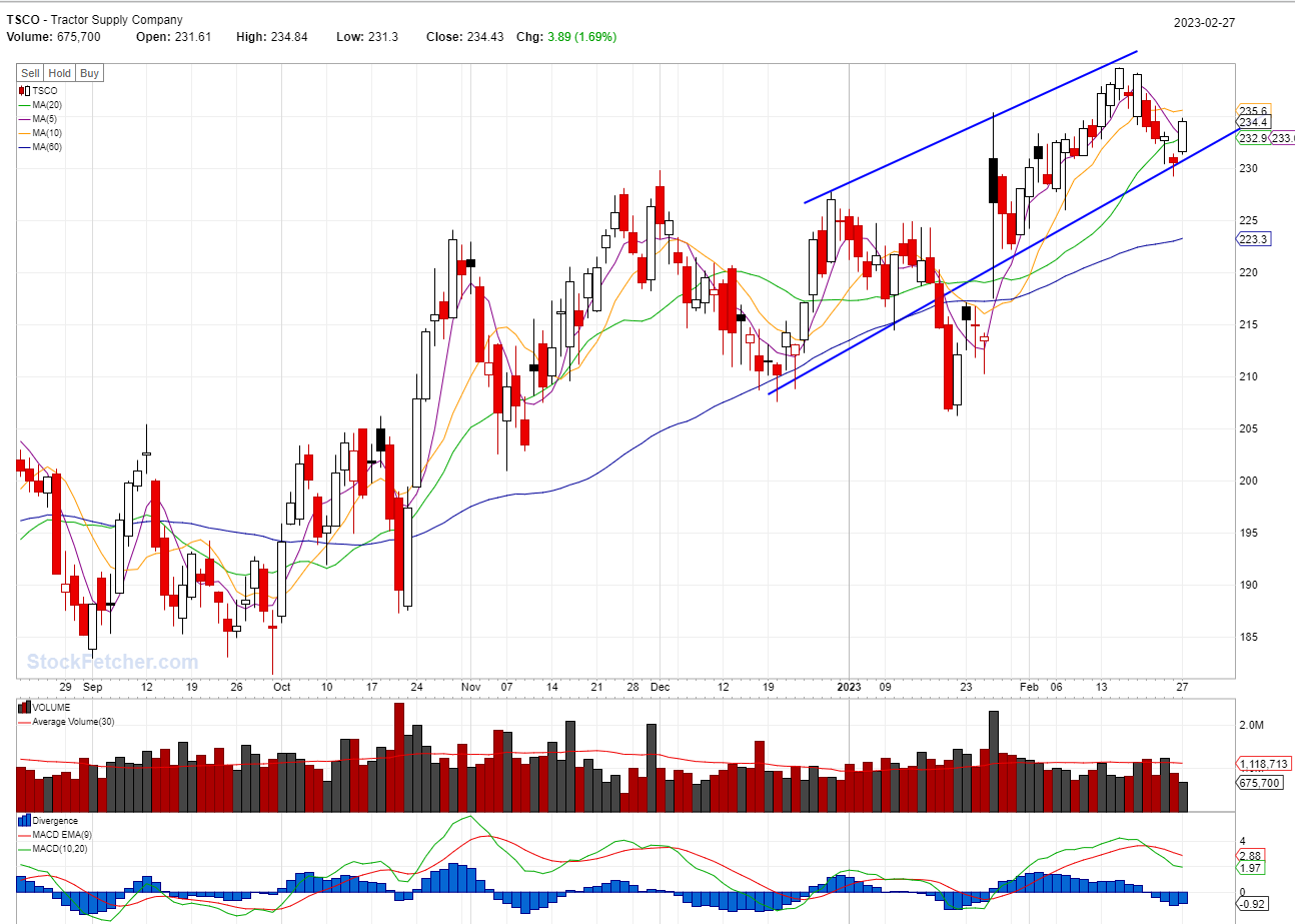 STOCK BUY SIGNAL TRIGGERED: TSCO @02/27/2023
